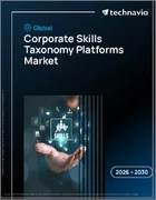 表紙：企業スキル分類プラットフォームの世界市場 2026年～2030年