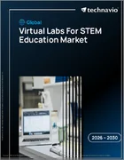 表紙：STEM教育用バーチャルラボの世界市場 2026年～2030年