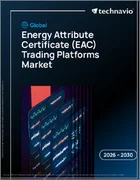 表紙：エネルギー属性証明書（EAC）取引プラットフォームの世界市場 2026年～2030年