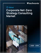 表紙：企業のネットゼロ戦略コンサルティングの世界市場 2026年～2030年