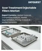 表紙：傷跡治療用注入型フィラー市場の規模、シェア、および成長分析：フィラーの化学組成別、傷跡の種類・適応症別、治療法別、エンドユーザー別、地域別―2026年～2033年の業界予測