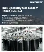 表紙：バルク特殊ガスシステム（BSGS）市場の規模、シェア、および成長分析：システム構成要素別、ガス種別、業界別、事業規模別、地域別―2026年から2033年までの業界予測