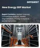 表紙：新エネルギーERPの市場規模、シェア、成長分析：ソリューションタイプ別、機能別、エンドユーザー産業別、組織規模別、展開モデル別、地域別 - 産業予測、2026年～2033年
