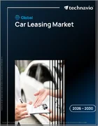 表紙：車のリースの世界市場 2026年～2030年