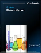 表紙：フェノールの世界市場、2026年～2030年