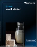 表紙：酵母の世界市場 2026年～2030年