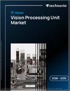 表紙：ビジョン処理ユニットの世界市場 2026年～2030年