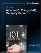 表紙：インターネット・オブ・シングス（IoT）セキュリティの世界市場 2026年～2030年