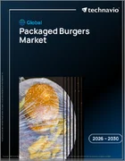表紙：パック入りバーガーの世界市場 2026年～2030年