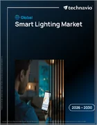 表紙：スマート照明の世界市場 2026年～2030年