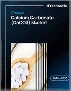 表紙：カルシウム炭酸塩（CACO3）の世界市場 2026年～2030年