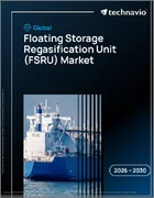 表紙：浮体式貯蔵再ガス化設備（FSRU）の世界市場 2026年～2030年