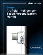 表紙：人工知能を用いたパーソナライズの世界市場 2026年～2030年