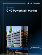 表紙：CNGパワートレインの世界市場 2026年～2030年