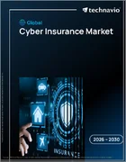 表紙：サイバー保険の世界市場 2026年～2030年