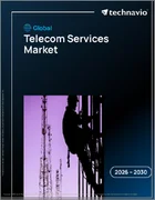 表紙：通信サービスの世界市場 2026年～2030年
