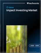 表紙：インパクト投資の世界市場 2026年～2030年