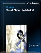 表紙：小型衛星の世界市場 2026年～2030年