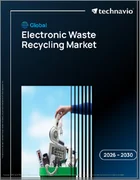 表紙：電子廃棄物リサイクルの世界市場 2026年～2030年
