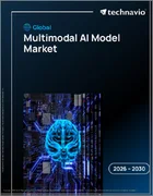 表紙：マルチモーダルAIモデルの世界市場 2026年～2030年
