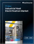 表紙：工業用熱電化の世界市場 2026年～2030年
