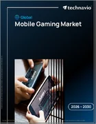 表紙：世界のモバイルゲーム市場2026-2030年