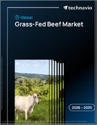 表紙：世界の牧草飼育牛肉市場2026-2030年