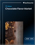 表紙：チョコレートフレーバーの世界市場 2026年～2030年