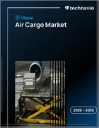 表紙：航空貨物の世界市場 2026年～2030年
