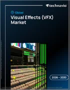 表紙：視覚効果（VFX）の世界市場 2026年～2030年