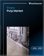 表紙：パルプの世界市場 2026年～2030年