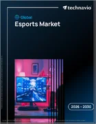 表紙：eスポーツの世界市場 2026年～2030年