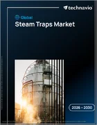 表紙：スチームトラップの世界市場 2026年～2030年
