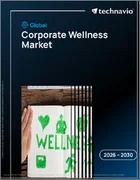 表紙：企業ウェルネスの世界市場 2026年～2030年