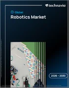 表紙：ロボティクスの世界市場 2026年～2030年