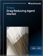 表紙：減粘剤の世界市場 2026年～2030年