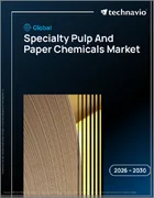 表紙：特殊パルプ・紙用化学品の世界市場 2026年～2030年
