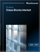 表紙：ガラスブロックの世界市場 2026年～2030年