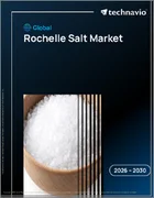 表紙：ロシェル塩の世界市場 2026年～2030年