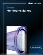 表紙：膜の世界市場 2026年～2030年