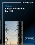 表紙：電力取引の世界市場 2026年～2030年