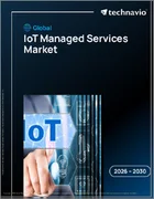 表紙：IoTマネージドサービスの世界市場 2026年～2030年
