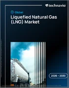 表紙：液化天然ガス（LNG）の世界市場 2026年～2030年