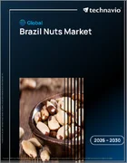 表紙：ブラジルナッツの世界市場 2026年～2030年