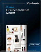 表紙：高級化粧品の世界市場 2026年～2030年