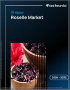 表紙：ローゼルの世界市場 2026年～2030年
