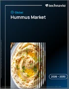 表紙：フムスの世界市場 2026年～2030年