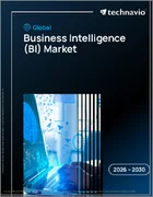 表紙：ビジネスインテリジェンス（BI）の世界市場 2026年～2030年