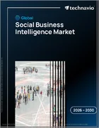 表紙：ソーシャルビジネスインテリジェンスの世界市場 2026年～2030年