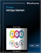 表紙：MLOpsの世界市場 2026年～2030年
